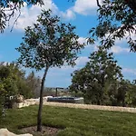 Mmiriusa Noto