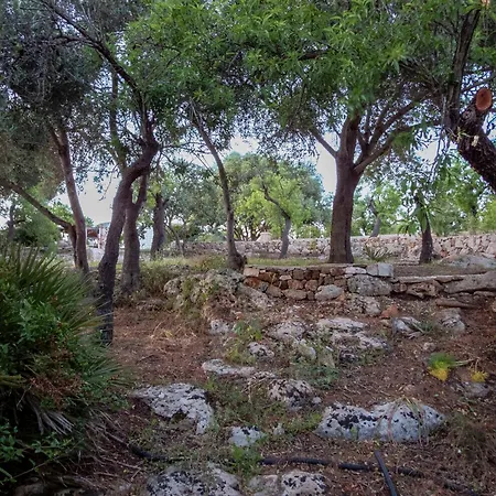 Mmiriusa Tatil Evi
